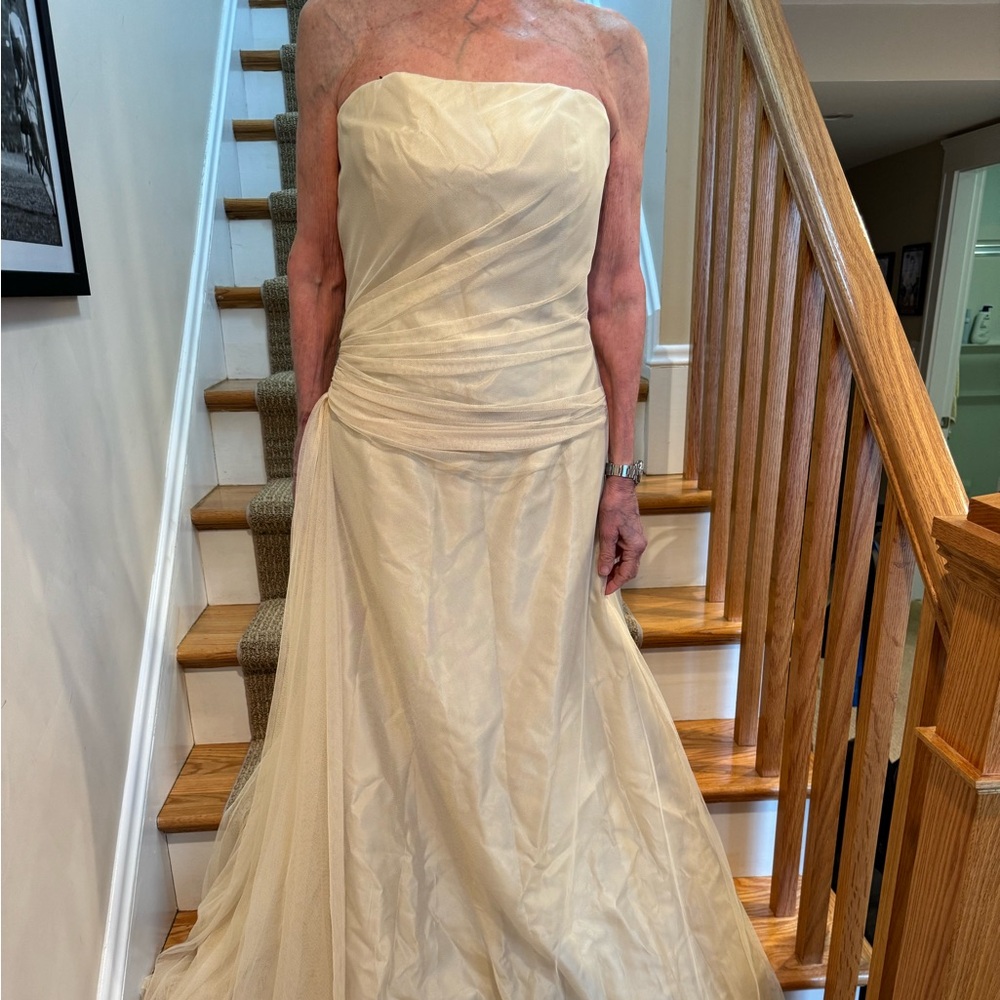 Vera Wang Taffeta Gown size 8 NWT